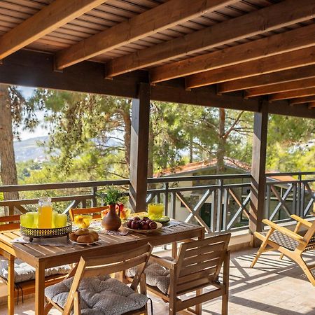 Platres Forest View Cottage 外观 照片